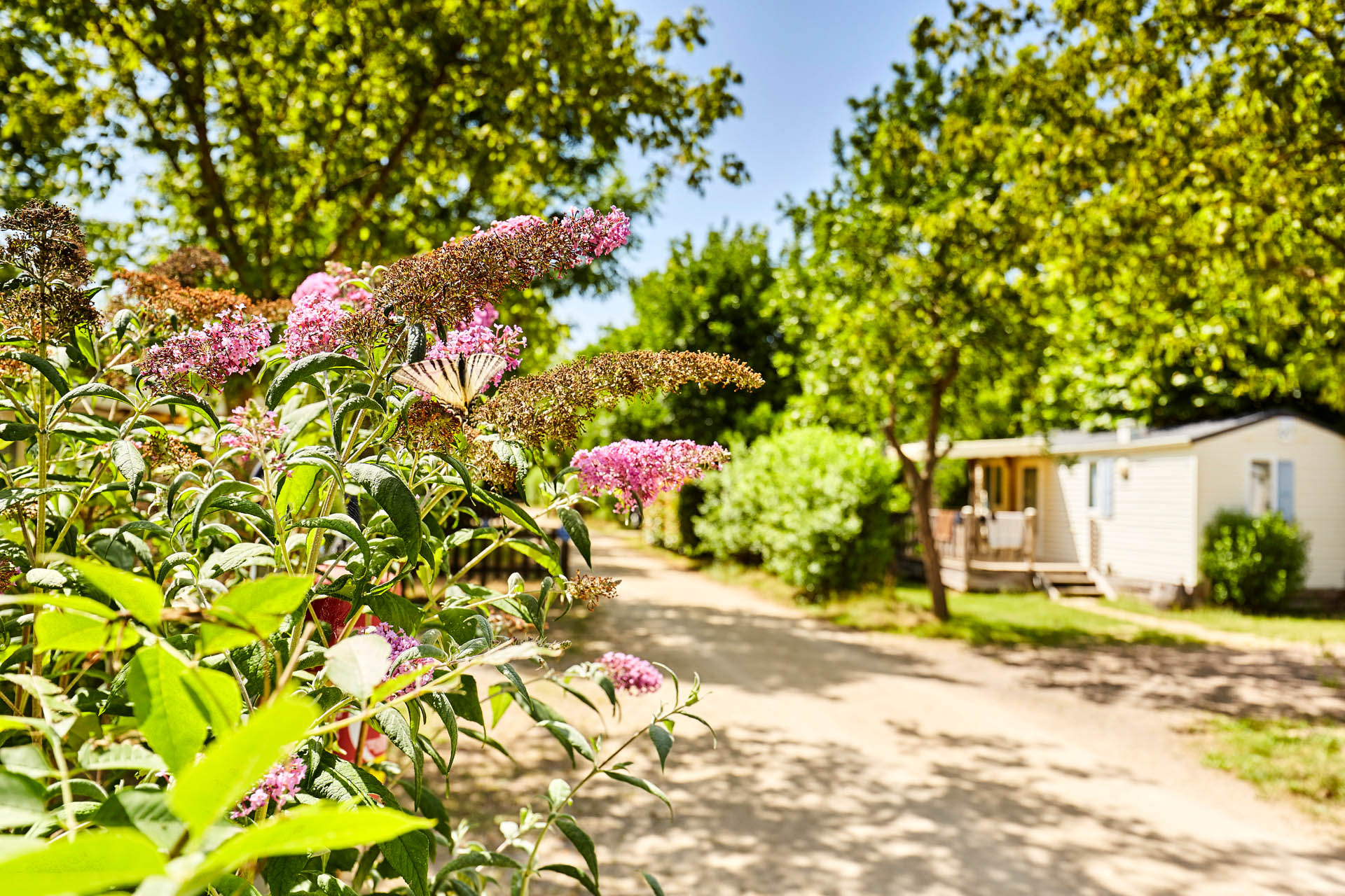 Les mobil-homes et leurs atouts - Camping La Grand'Métairie