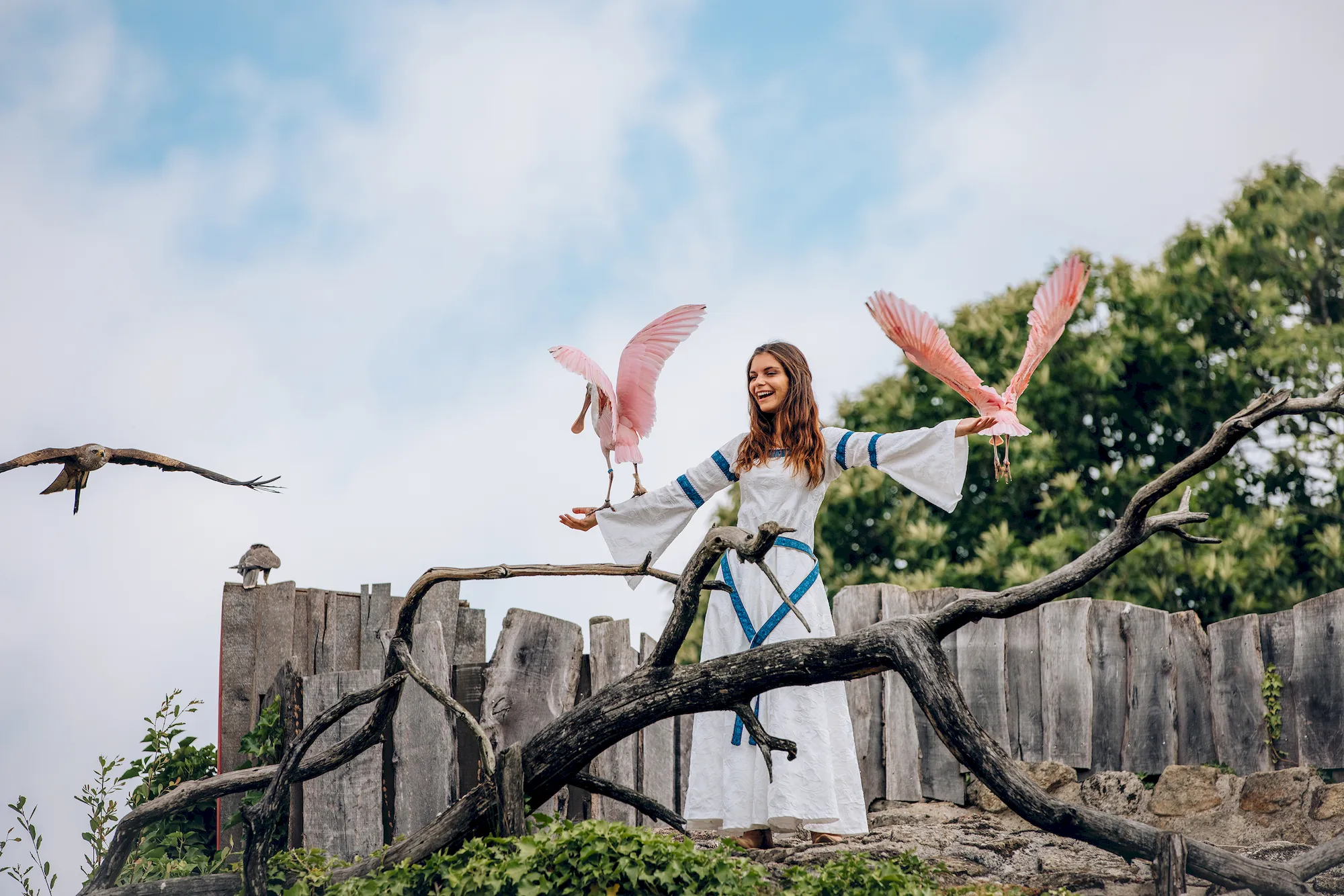 Le Bal des Oiseaux Fantômes Arthur Aumond Puy du Fou